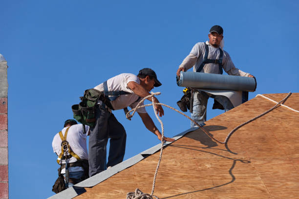 Best Roof Maintenance Services  in Franklinton, NC